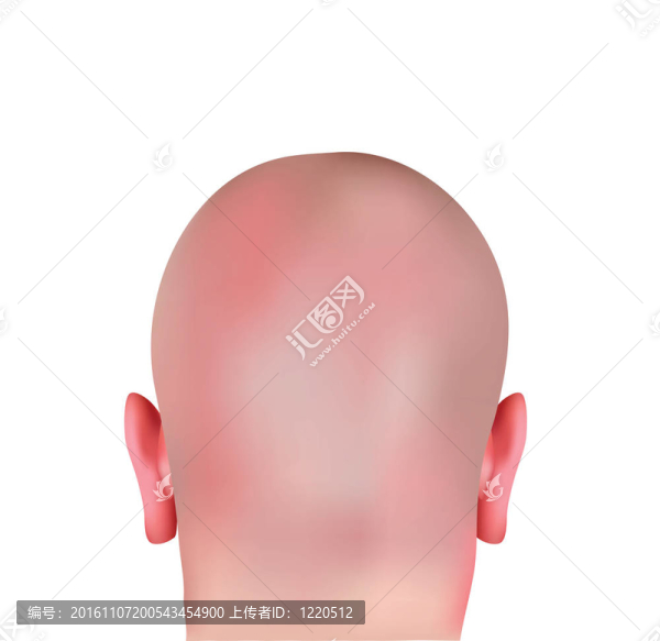 現(xiàn)實(shí)的禿頭