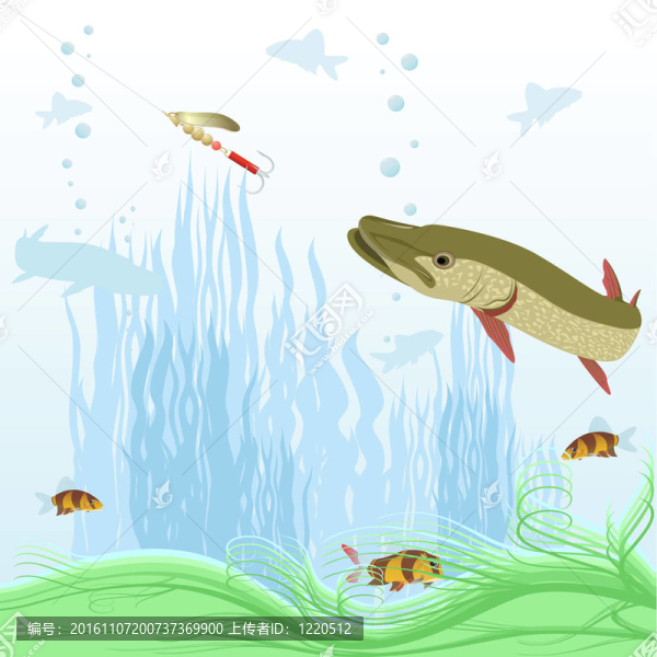 掠食性魚類
