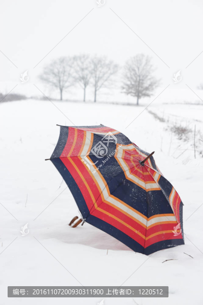 傘下的雪