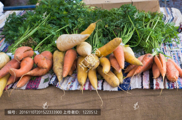 根菜類蔬菜。