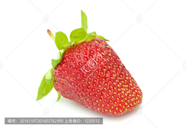 草莓