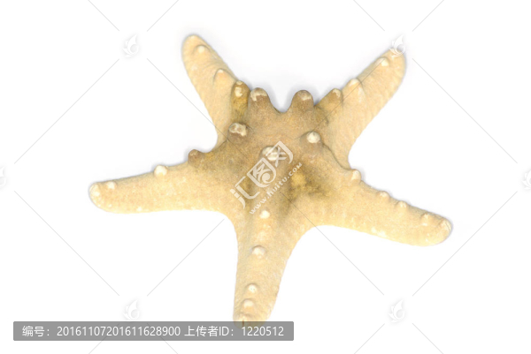 海之星