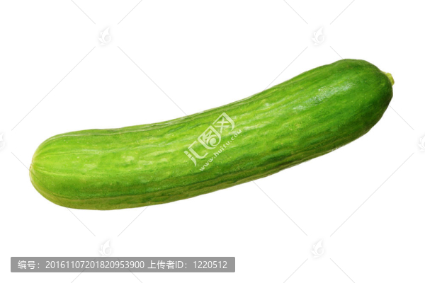 波斯黃瓜
