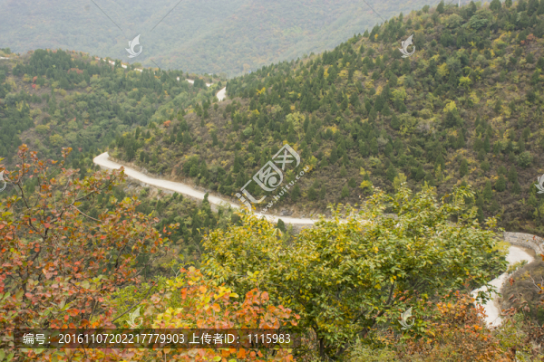 蜿蜒的山路
