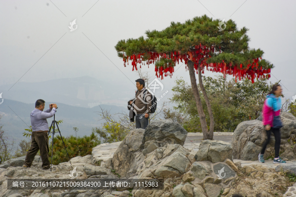 山頂游覽觀光
