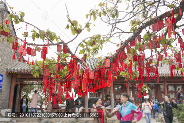 樹上的祈福牌,祈福祝愿