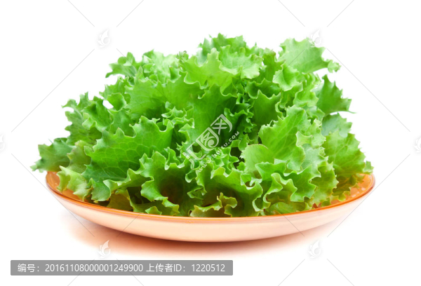 新鮮蔬菜沙拉