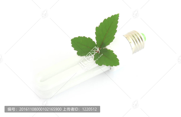綠色白葉節(jié)能燈