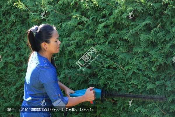綠籬修剪機