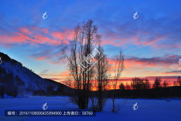 雪原樹林朝霞