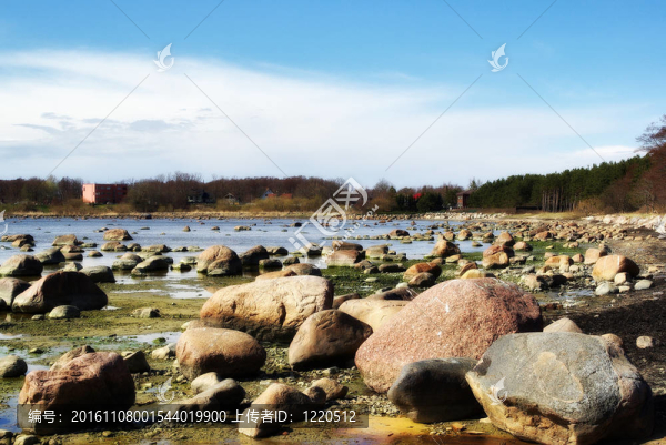 波羅的海沿岸