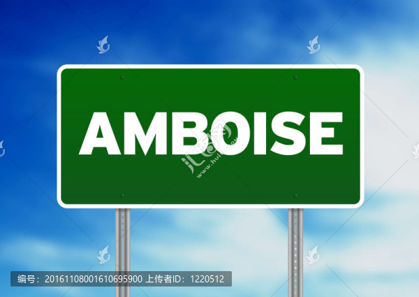 綠色道路標志-,Amboise；法國