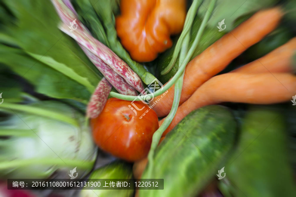 潛入蔬菜