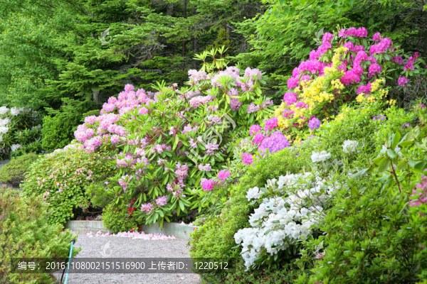 鹿角公園