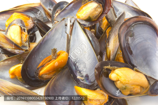 蒸貽貝