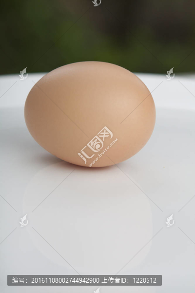 雞蛋