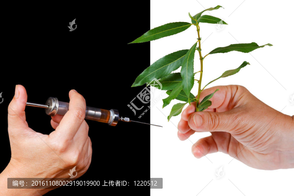 健康生活方式-替代藥物。停藥。