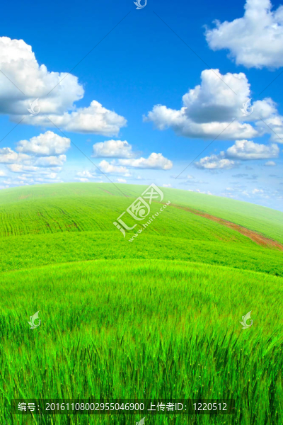夏天的風(fēng)景