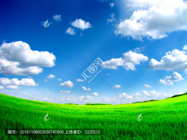 夏天的風(fēng)景