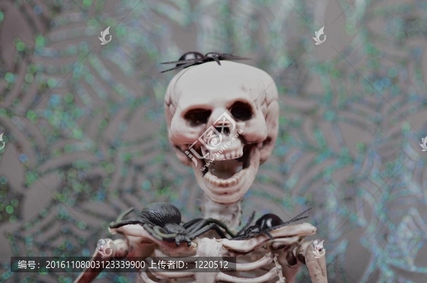 笑骨組