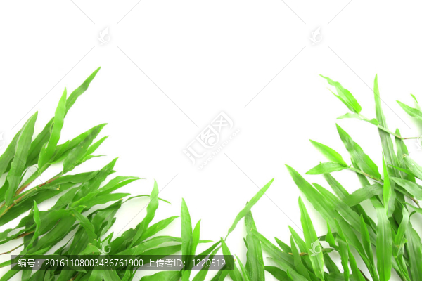 帶有文本空間的草架