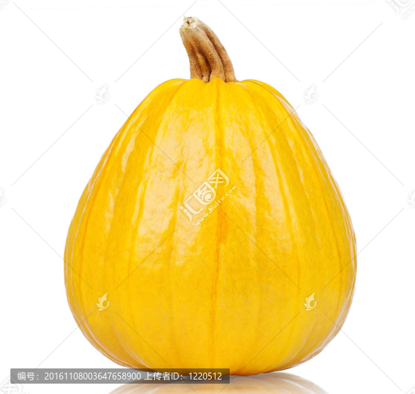新鮮的南瓜