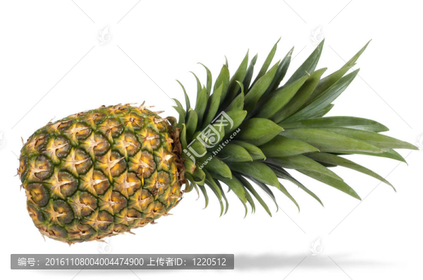 成熟的菠蘿
