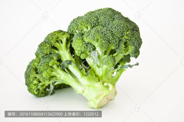 白色背景新鮮西蘭花