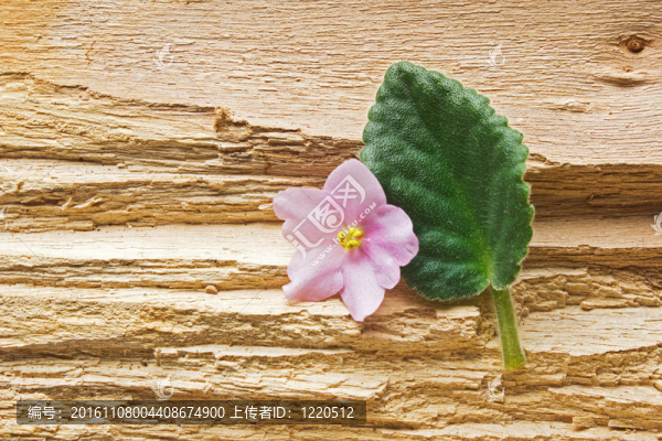 用樹葉在木頭上的花