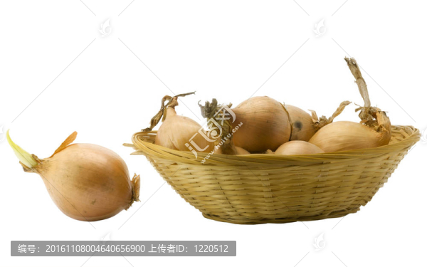 籃子里的燈泡