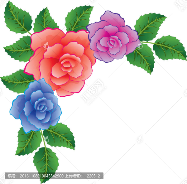 玫瑰花多姿多彩