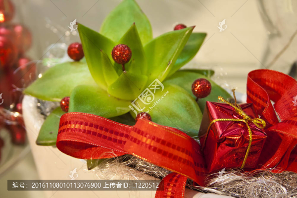 帶紅盒的綠色花
