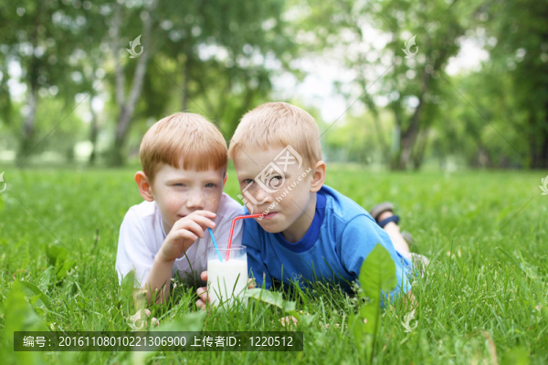 夏天兩個(gè)男孩在戶外的畫像