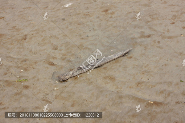 在對法國蛋白石海岸低潮的海景，沙灘