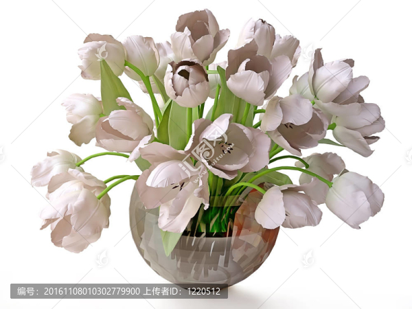 白色郁金香花束