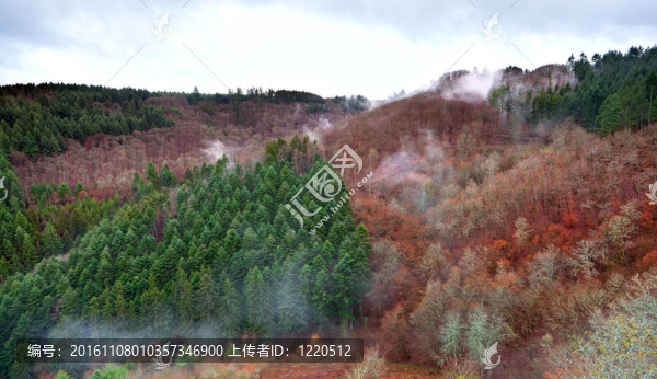 看山