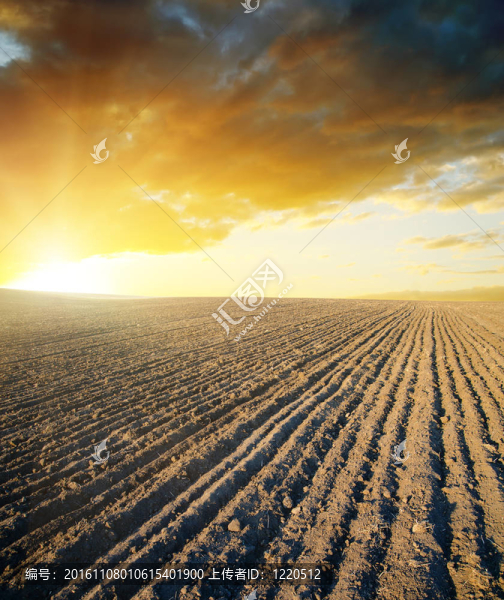農(nóng)業(yè)黑場(chǎng)與夕陽(yáng)
