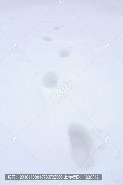 深深的雪上的腳印