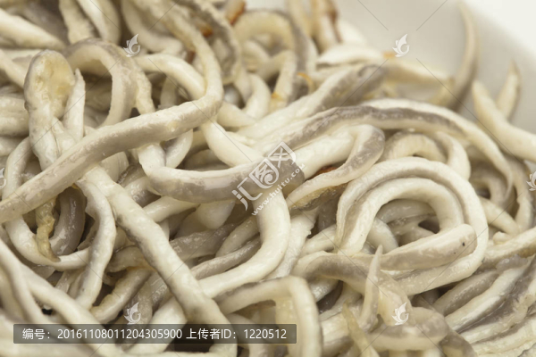 鰻魚