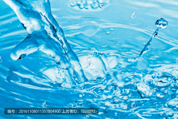 水體