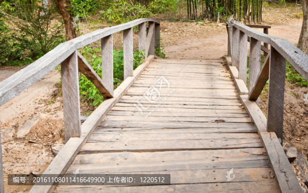 Jungle木橋