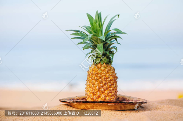 菠蘿
