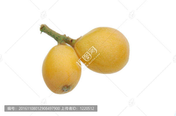 枇杷