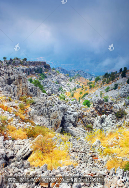 山