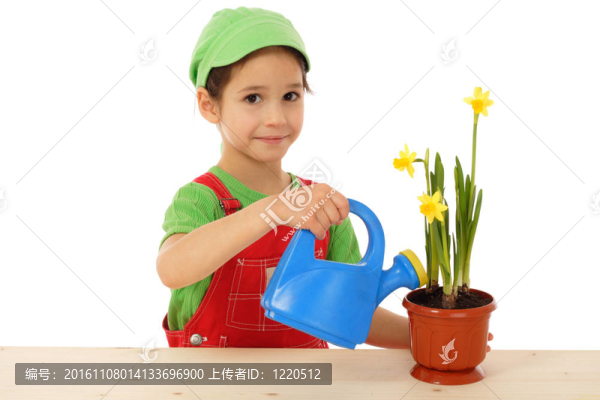小女孩澆水的水仙；白色隔離