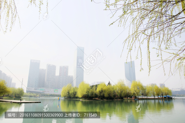 合肥天鵝湖風(fēng)光