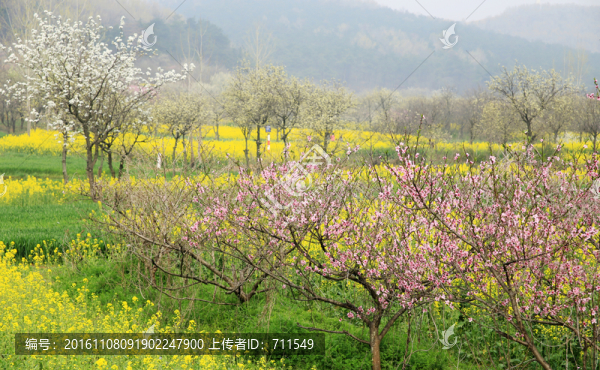 春色田園