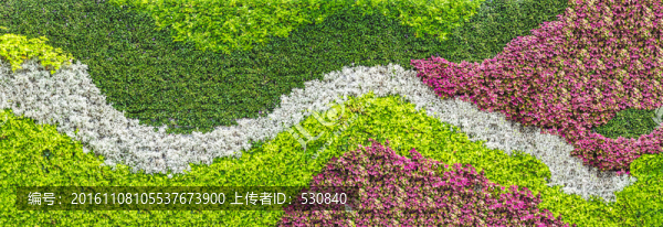 植物墻,大畫(huà)幅