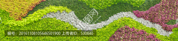 植物墻,大畫幅