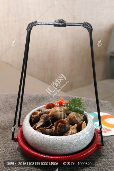 鹵水海螺